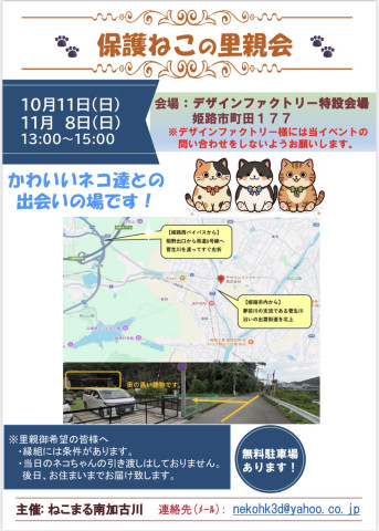 10/11保護ねこの里親会in姫路