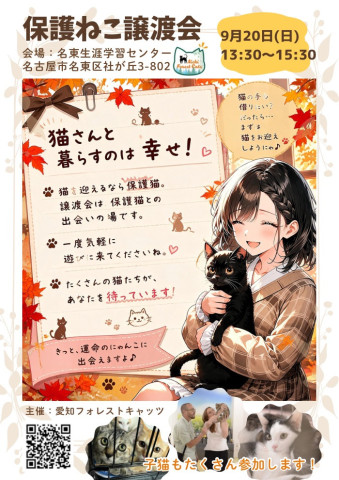 子猫たくさん！保護猫譲渡会　名古屋