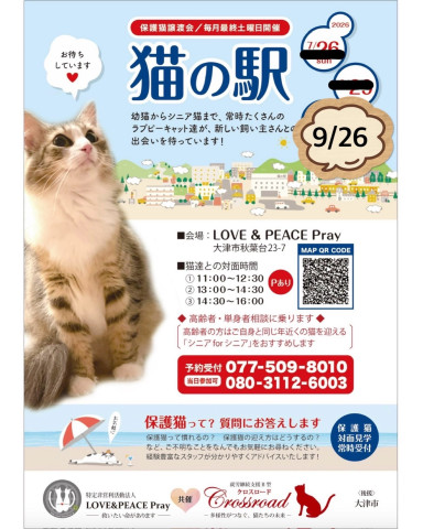 「猫の駅」保護猫譲渡会