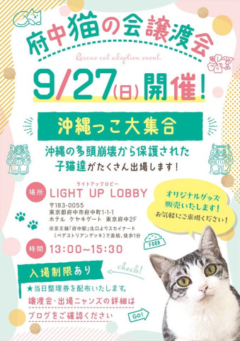 府中猫の会譲渡会