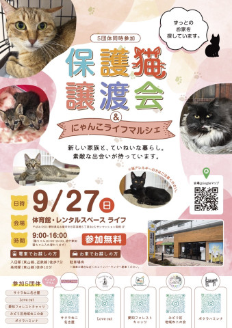 ５団体合同！保護猫譲渡会＆マルシェ