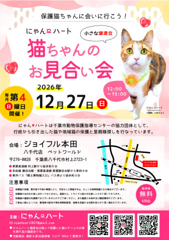 にゃん❤️ハート　猫ちゃんのお見合い会