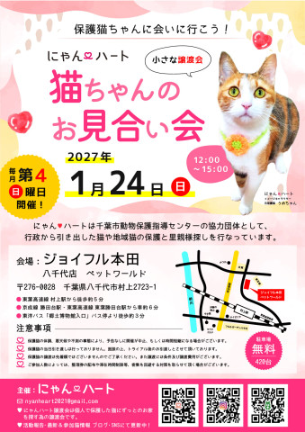 にゃん❤️ハート　猫ちゃんのお見合い会