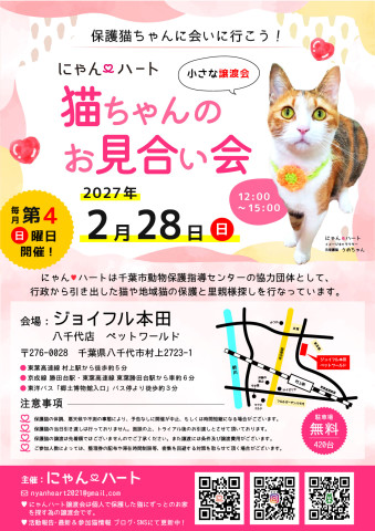 にゃん❤️ハート　猫ちゃんのお見合い会