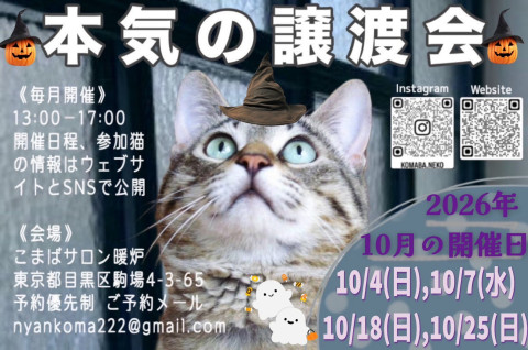 本気の譲渡会