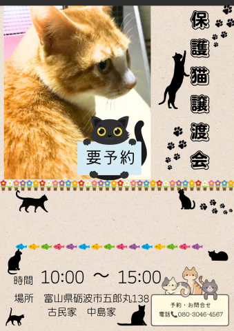 保護猫譲渡会と紙芝居