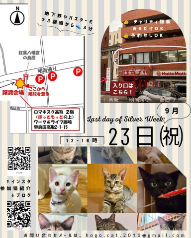ねこ組🐾福岡中央 譲渡会