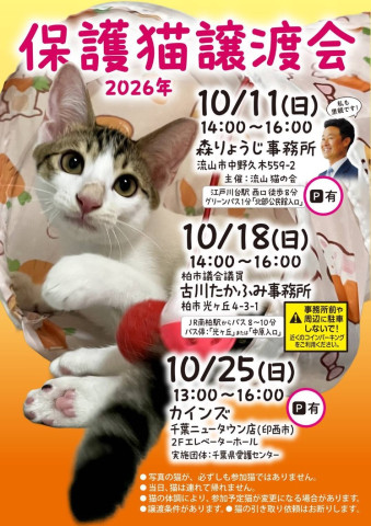 保護猫譲渡会
