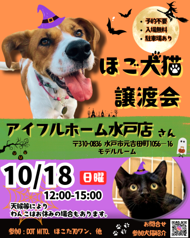 譲渡会 at アイフルホーム水戸店