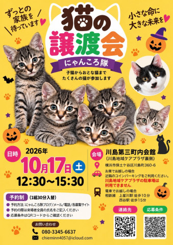 猫の譲渡会　by にゃんころ隊 10/17