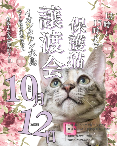 保護猫譲渡会（予約不要）