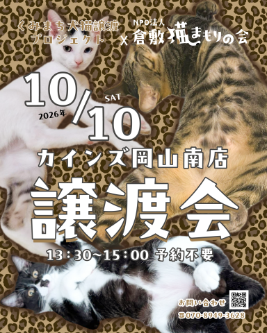 保護猫譲渡会（予約不要）