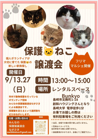 みんなの保護猫譲渡会ながさき