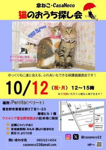 猫のおうち探し会（@習志野）