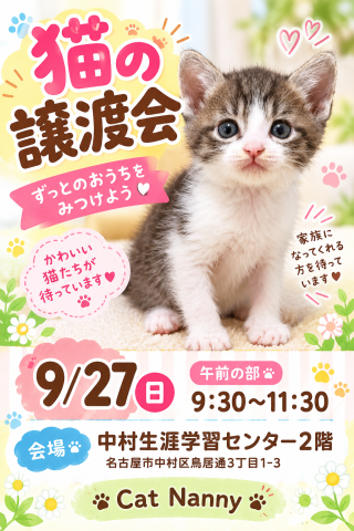 猫の譲渡会　午前の部