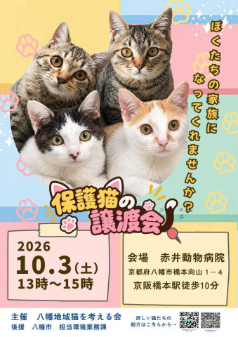 保護猫譲渡会 in 赤井動物病院 🐱