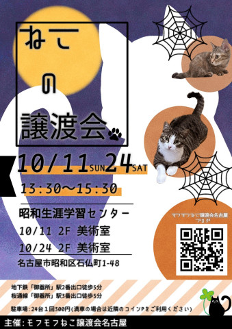 猫の譲渡会　in　名古屋市昭和生涯学習センター