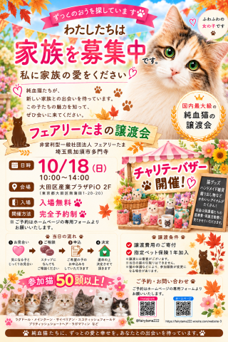 【国内最大級！】フェアリーたまの譲渡会