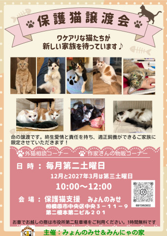 みょんとみんにゃの保護猫譲渡会