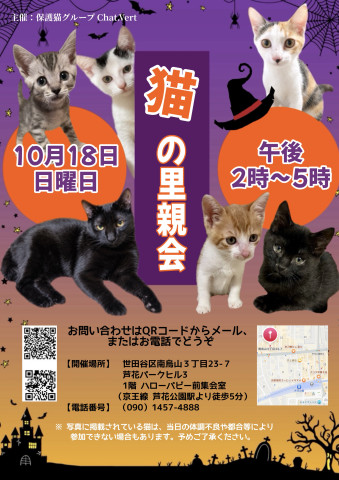 猫の里親会