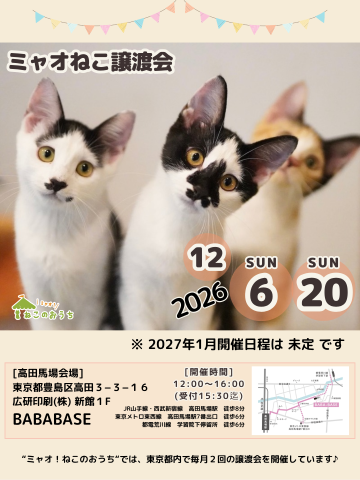 ミャオねこ譲渡会◆高田馬場