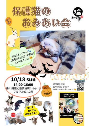 まだら家🍀保護猫のお見合い会