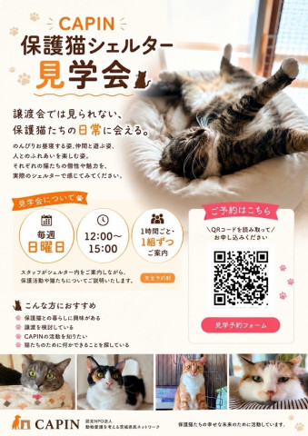 CAPIN保護猫シェルター見学会