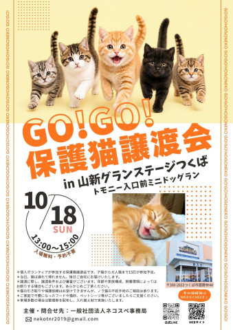GO！GO！保護猫譲渡会