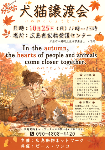 犬猫譲渡会