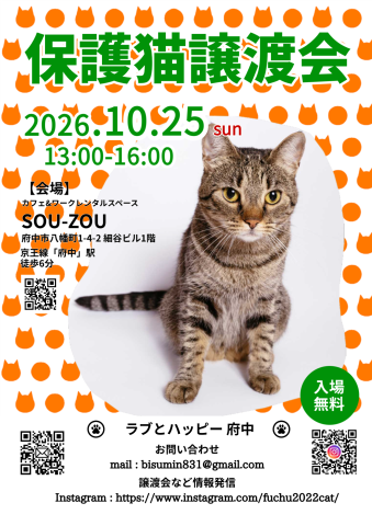 10/25ラブとハッピー府中【保護猫譲渡会】