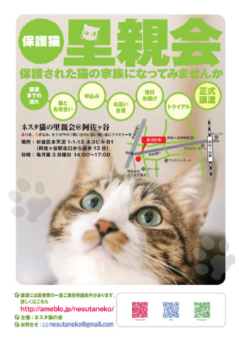 ネスタ猫の里親会@阿佐ヶ谷