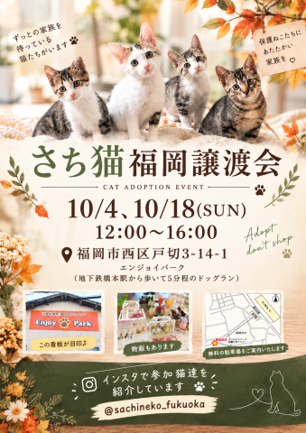 さち猫福岡譲渡会　エンジョイパーク（はっぴいすまいる）
