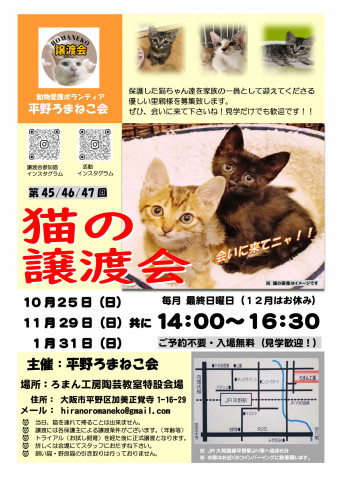 第45回 平野ろまねこ譲渡会
