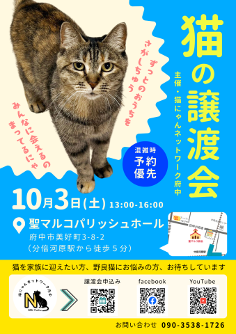 猫にゃんネットワーク府中{保護猫の譲渡会} 