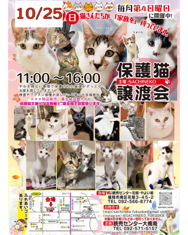 さち猫福岡譲渡会　読売センター花畑・やよい坂