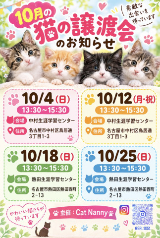 猫の譲渡会_名古屋
