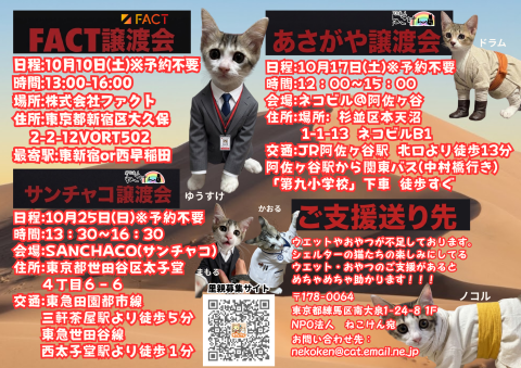 ねこけんSANCHACO譲渡会