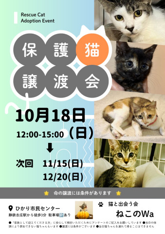 ねこのWa譲渡会　静岡市葵区