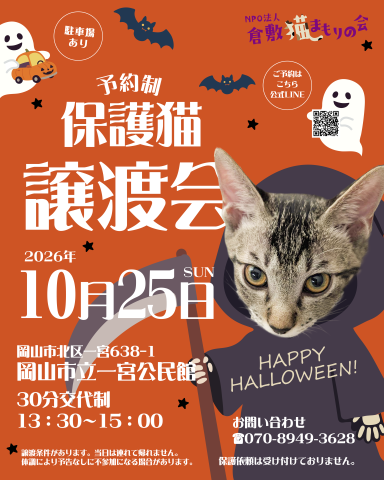 保護猫譲渡会（予約制）