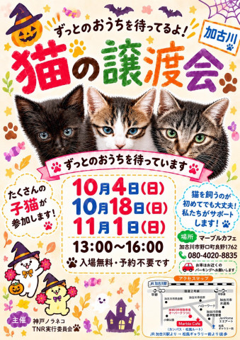 「マーブルカフェ」譲渡会
