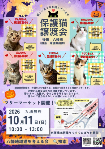 八幡地域猫を考える会🐾保護猫譲渡会