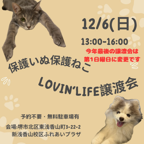 ラビンライフ譲渡会