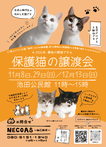 NECOAS　譲渡会　静岡市駿河区　11月も２回開催！