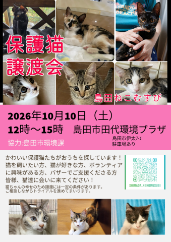 島田ねこむすび保護猫譲渡会