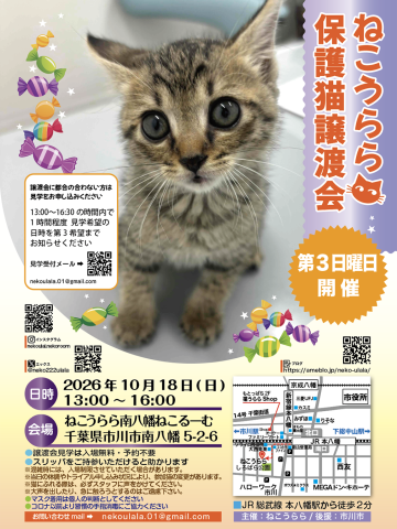 ねこうらら 保護猫譲渡会