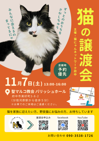 猫にゃんネットワーク府中{保護猫の譲渡会} 