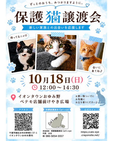 保護猫譲渡会Cat'seye