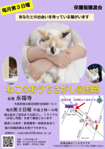 大阪・忠岡｜蚊帳で保護猫とふれあえる譲渡会