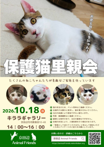 京田辺市：保護猫の里親会（譲渡会）