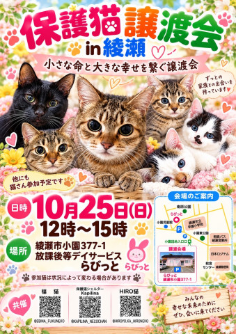 保護猫譲渡会